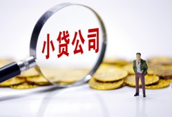 成都哪里可以小额贷款-成都私人私人借贷-成都无抵押私人贷款